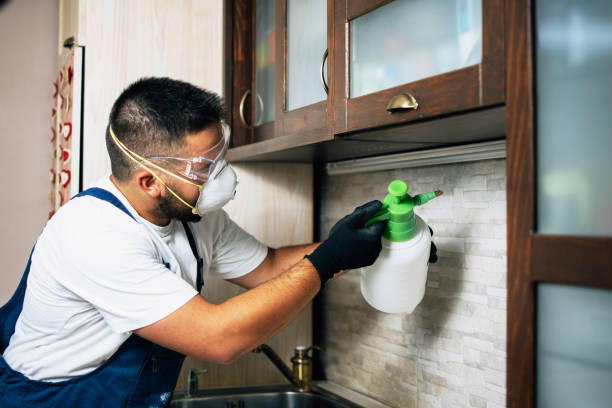 Best Mosquito Control Services  in Brownsville, KY
