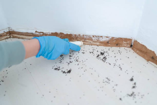 Pest Prevention Services in Brownsville, KY
